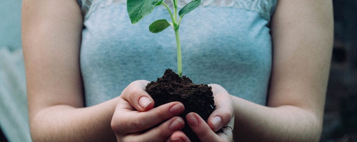 cri comitato valpolicella croce rossa effetto terra